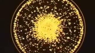 Hidden World: Cymatics