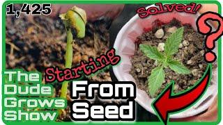 How to start Cannabis Grow from Seed - The Dude Grows Show (1,425)
