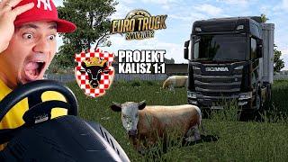  Przejechałem KROWE w KALISZU *na nowej, polskiej mapie* | Euro Truck Simulator 2