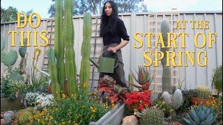 Springtime Garden Chores: Prepping My Cacti, Succulents & Natives for Growing Season