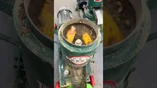 Inclined Rollers in Feed Pellet Machine