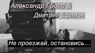 Александр Гросс и Дмитрий Ефимов-Не проезжай, остановись...