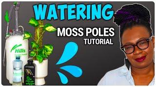 Watering Moss Poles - DEFINITIVE Guide For Moss Pole Lovers