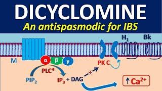 Dicyclomine as antispasmodic