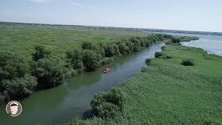 Delta Dunarii explorata cu un ghid local Ciprian Safca din Tulcea.Danube Delta tour with local guide