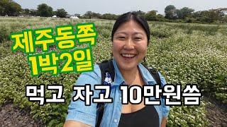무계획으로 떠난 제주 동쪽 1박 2일