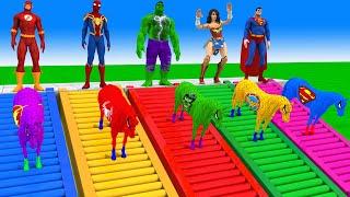 Red Horse Spiderman Crossing On Rainbow Spiders Bridge With Horse Vs Spider-Shark Rescue Animal Game