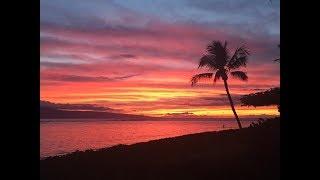 Baby Beach Lahaina