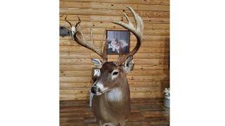 Huge Alabama Boone and Crockett Typical Public Land Buck!