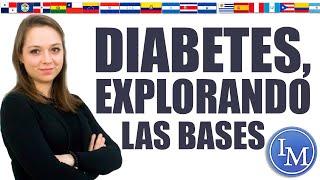 Diabetes | Día 5 | Congreso Mortaji Internacional