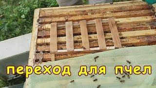 пчеловодство, переход для пчел, зимовка под открытым небом видео