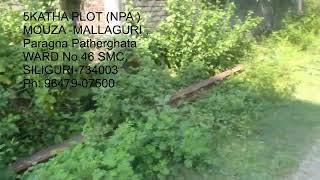 SILIGURI PLOT 5 Katha Plot Ward No. 46 . for E-Auction ,NPA SARFAESI