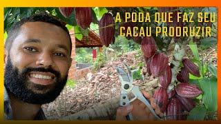 NÃO PODE SEU CACAU ANTES DE VER ESSE VÍDEO.