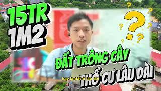 BẤT ĐỘNG SẢN BẮC GIANG: 15 TRIỆU chọn đất thổ cư hay đất nông nghiệp?