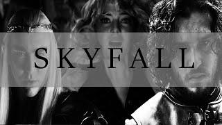  multifandom | S K Y F A L L