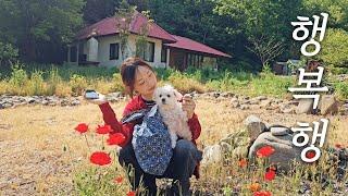 귀촌 할 보령에서 촌캉스 즐긴 날 "찐으로 행복했다" (with 장원영 배우님)  리틀포레스트 같은 5도2촌 시골살이 countryside life