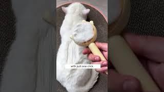 Brushing My Cat Is SO Satisfying 