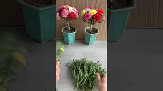 Plant portulaca flower use plastic bottle to tower #shortvideo #howtogrowportulaca #portulacaplant