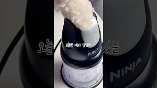 펫푸드까지 섭렵한 닌자초퍼? 