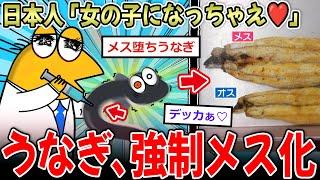 【メス堕ち】うなぎ「女の子になっちゃう！」→日本人、うなぎを強制的にメスにしてしまう…【2ch面白いスレ】