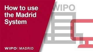 How to use WIPO's Madrid System for International Trademark Registration