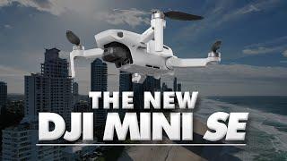 DJI Mini SE - New Mavic Mini Drone Coming Soon? | DansTube.TV