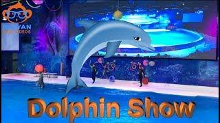 Dolphin, Seal and Magic Show | Dubai Dolphinarium