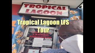 LFS Tour - Tropical Lagoon