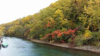 北海道 紅葉 - 支笏湖 ( 免費Pdf樂譜下載)
