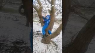 #мм2 #прошка #youtubeshorts
