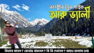 Aru Valley Kashmir Tour Guide | Aru valley Pahalgam | Pahalgam To Aru Valley  | কাশ্মীর Ep-13 |