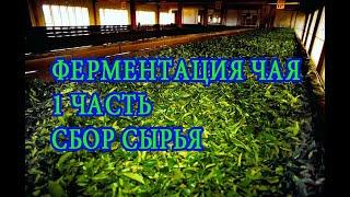 Начинаем ферментацию (часть 1). Fermentation. Инженер Андрей