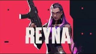 how reyna mains react to reynas nerfs