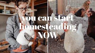 THINGS YOU CAN DO BEFORE YOU START YOUR HOMESTEAD | Start Homesteading Where You Are!