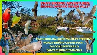 Birding Salineño Wildlife Preserve WORLD BIRDING CENTER+Falcon Lake, Santa Margarita Ranch w OWLS!️