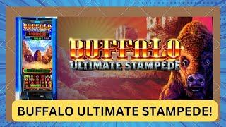 WATCH - Buffalo Ultimate Stampede Slot Machine (Watch me try it before you buy it)