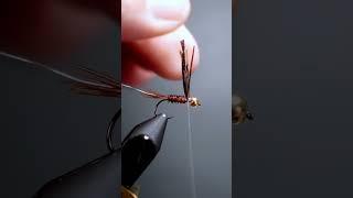 French Nymph #shorts #flytyingaddict #flytying