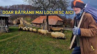 Aici bătrânii muncesc pământurile si cresc animale. Cătunul cu fibră optică dar fără curent