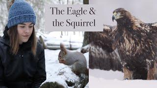 The Eagle and the Squirrel: A story about about wildlife photography and friendship