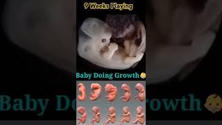 how cutely 9 week playing