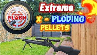 Airgun Exploding Pellets - New Ones