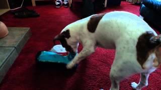 Marvin opens his Christmas present.