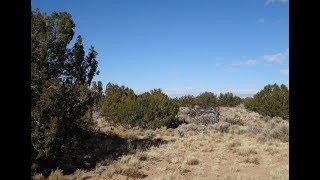 60 Acres $19,000 Saint John's, AZ.  Covered in Junipers and Lots of Privacy Close to