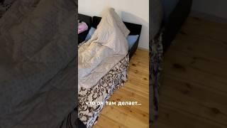 Михаил Круг… #гармонь #песня