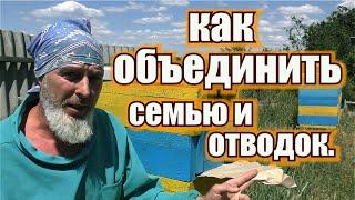 КАК ОБЪЕДИНИТЬ СЕМЬЮ И ТВОДОК.