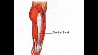 Two Minutes of Anatomy: Iliotibial Band (IT Band) (ITB)