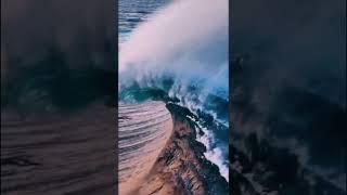 Sensational Nature #nature #viral #trending #reel #shorts #shortsviral #shortsviralvideo #nasim