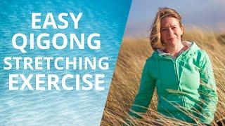 Easy Qigong Stretching Exercises | Qigong for Seniors | Qigong for Beginners