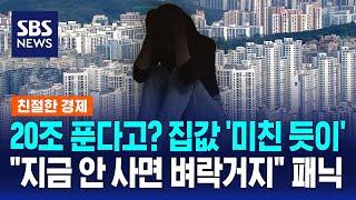 20조 푼다고? 집값 '미친 듯이'…"지금 안 사면 벼락거지" 패닉 / SBS / 친절한 경제