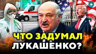 Больные беларусы ПОДОЖДУТ: врачей отправляют спасать скот. Посланник Трампа в Минске // Новости